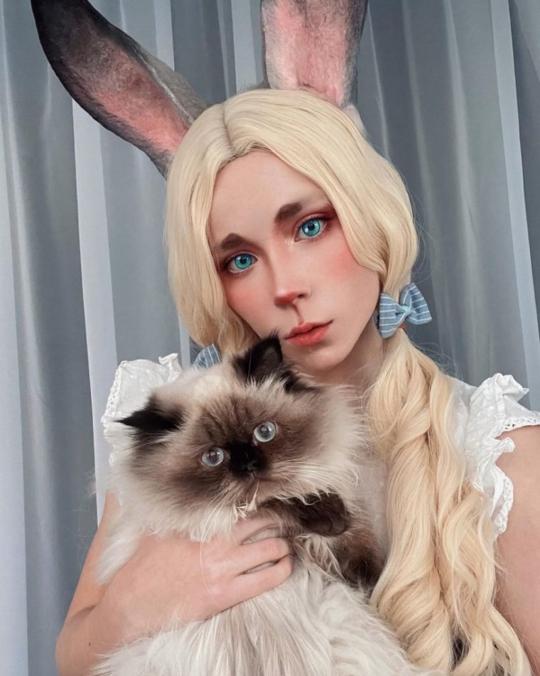 Свити Фокси