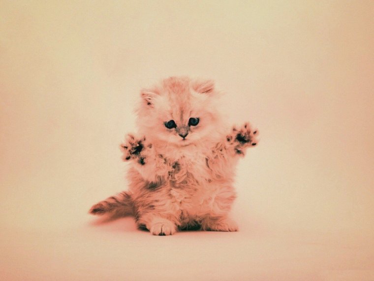 Миленькие обои