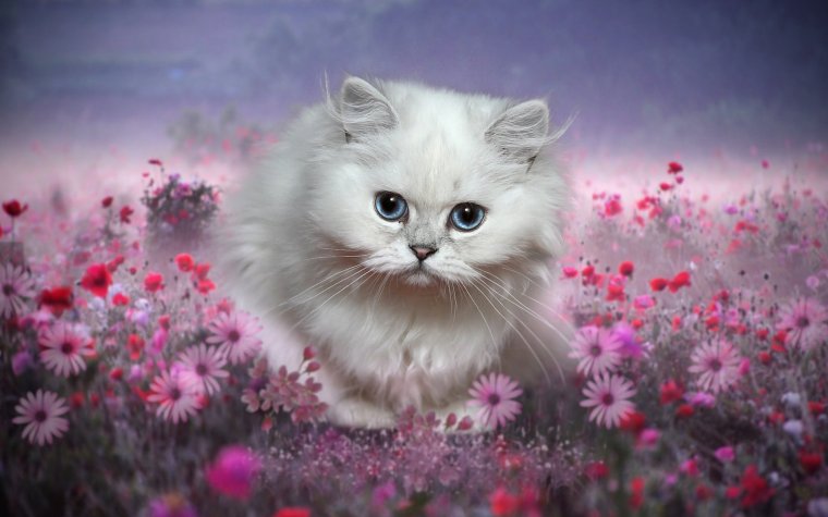 Котенок с цветами