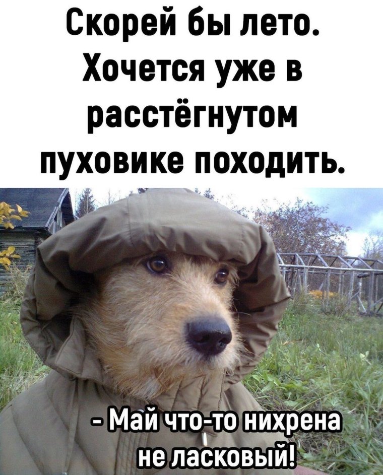 Наступило долгожданное лето