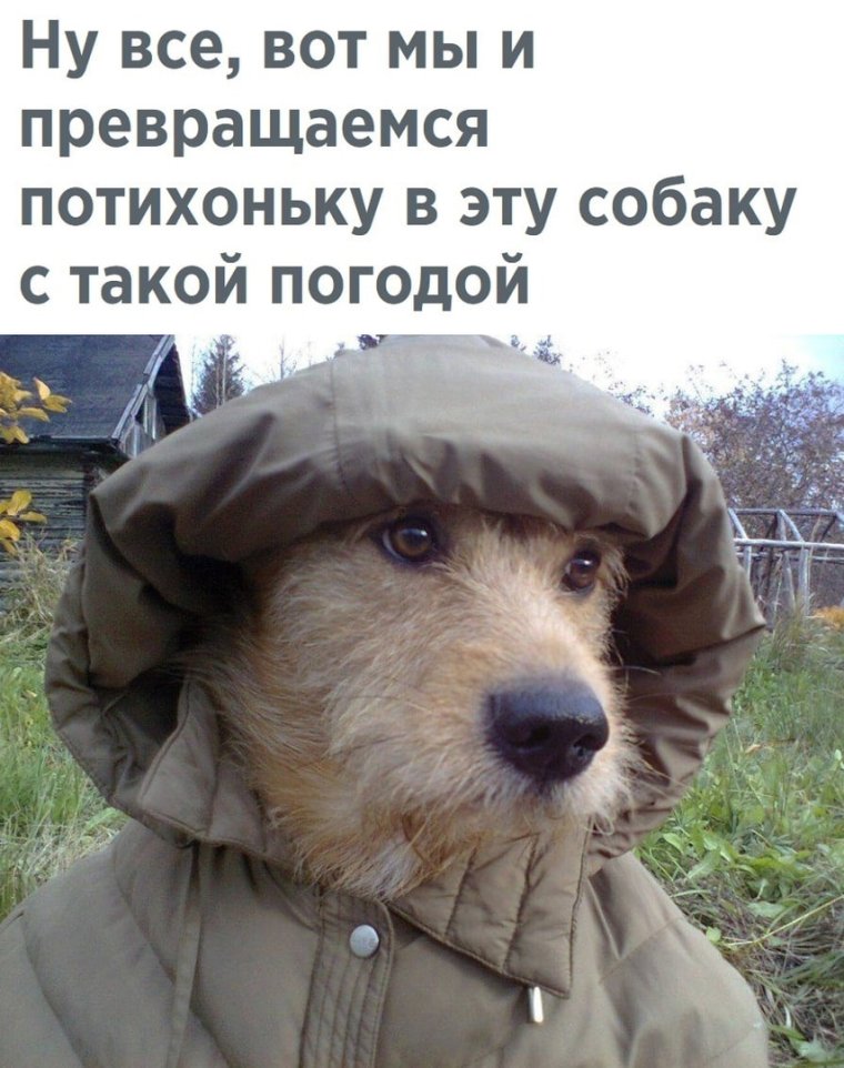 Приколы про Холодное лето