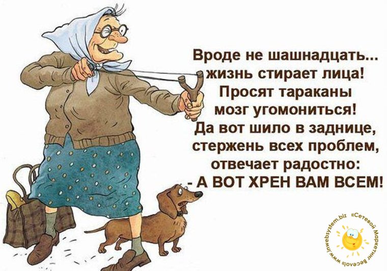Собака в фуфайке