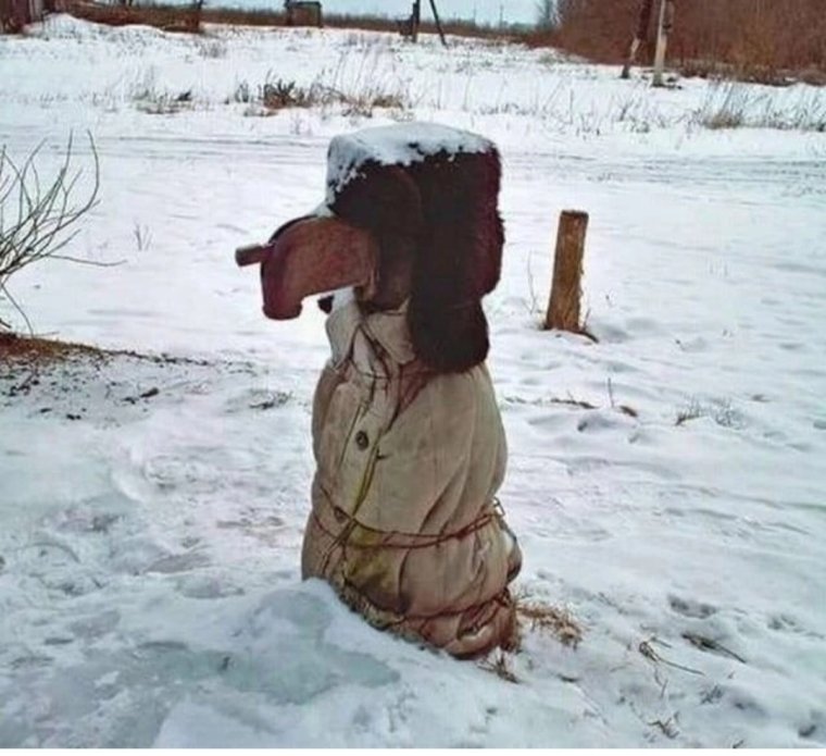 Приколы зимой