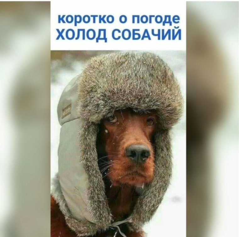 Шутки про холод