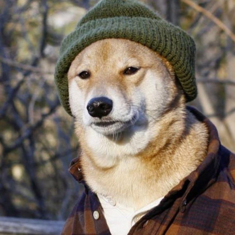 Собака в шапке с сигаретой