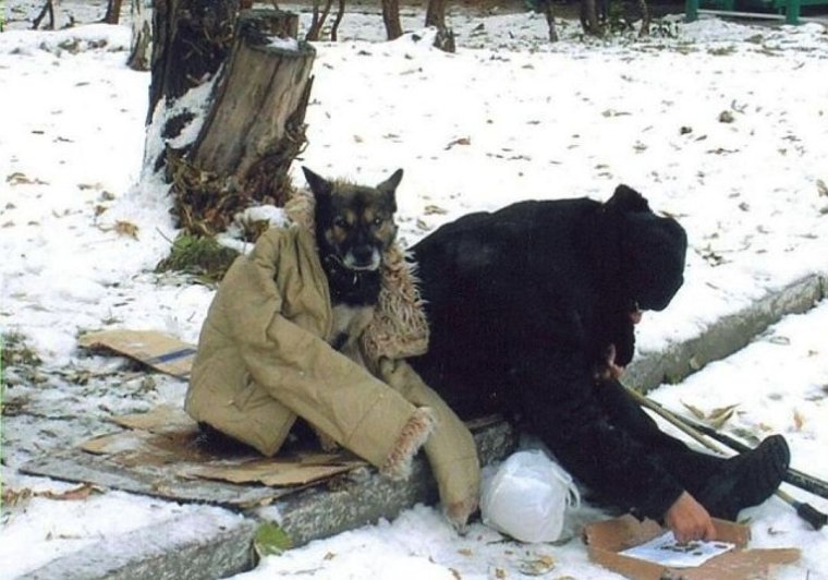 Пока человек чувствует боль он человек