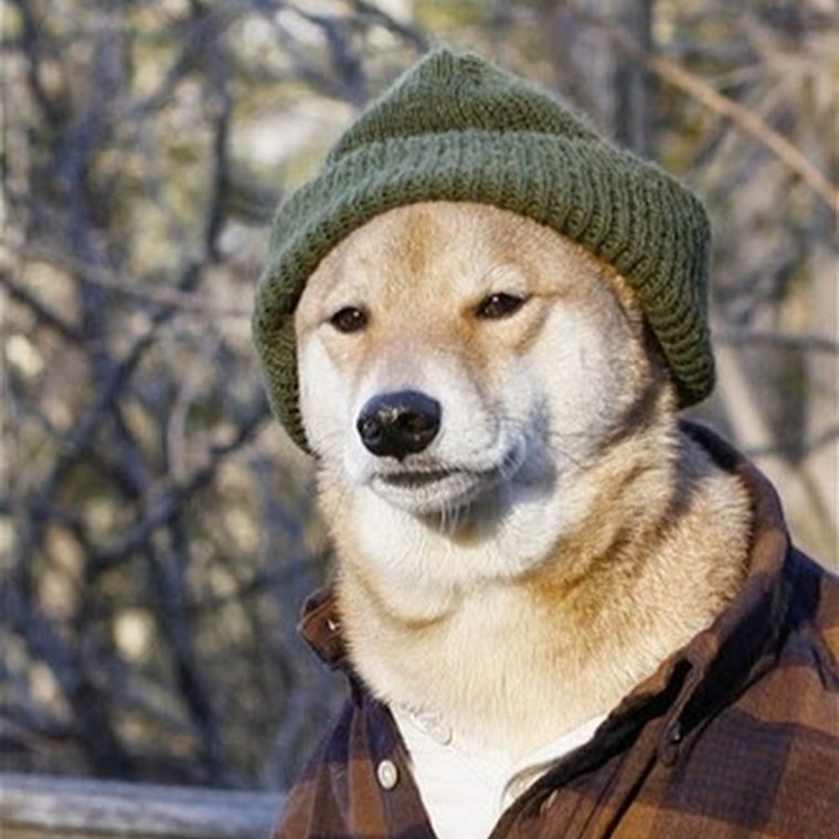 Собака с сигаретой в зубах