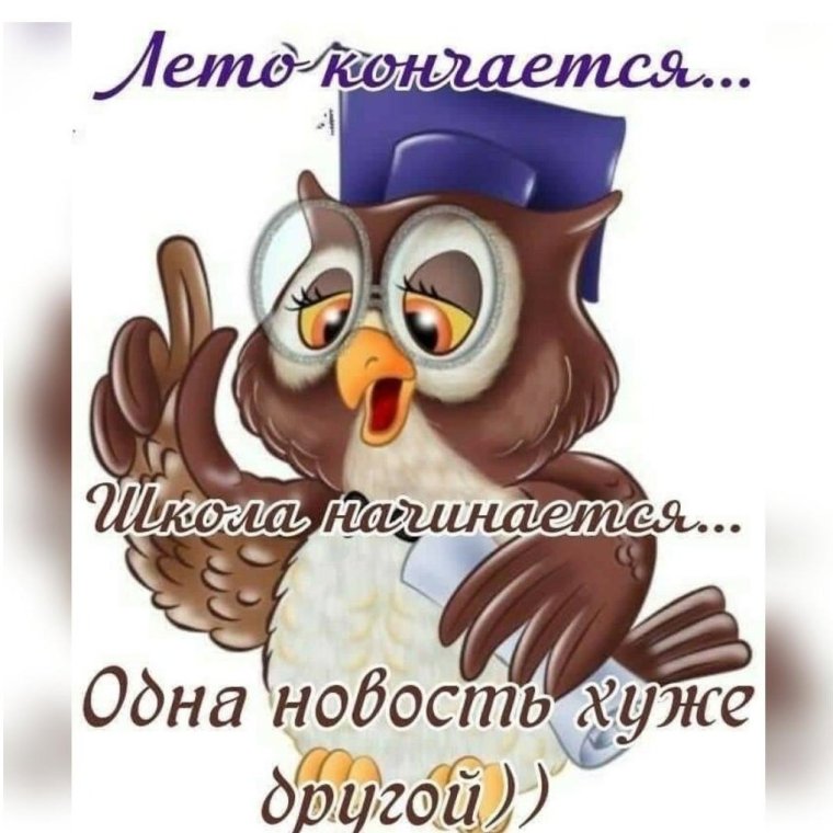 Сова клипарт