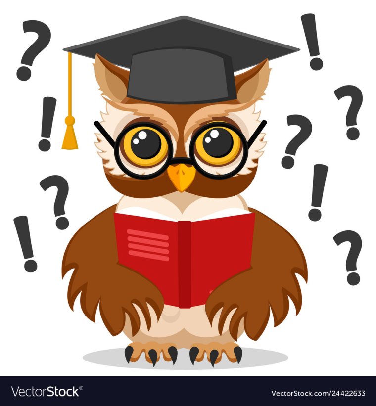 Филин в очках с книгой