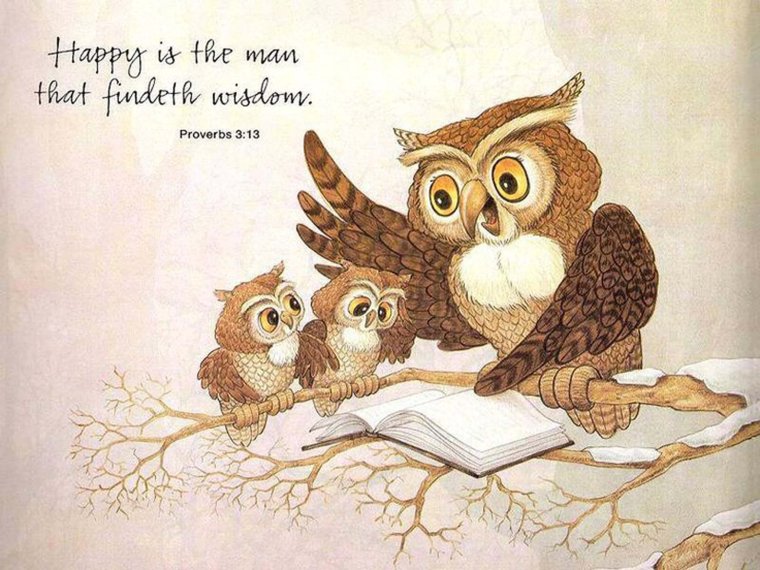 Сова для детей