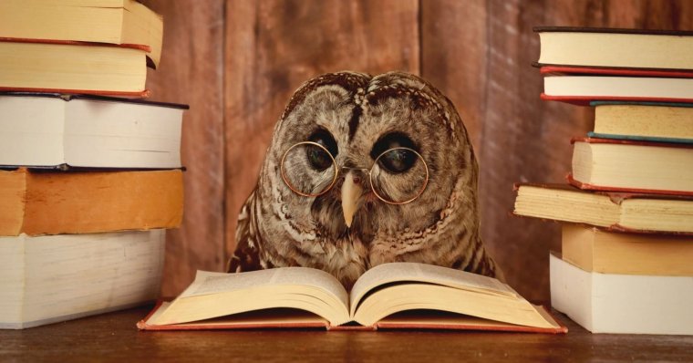 Филин с книжкой