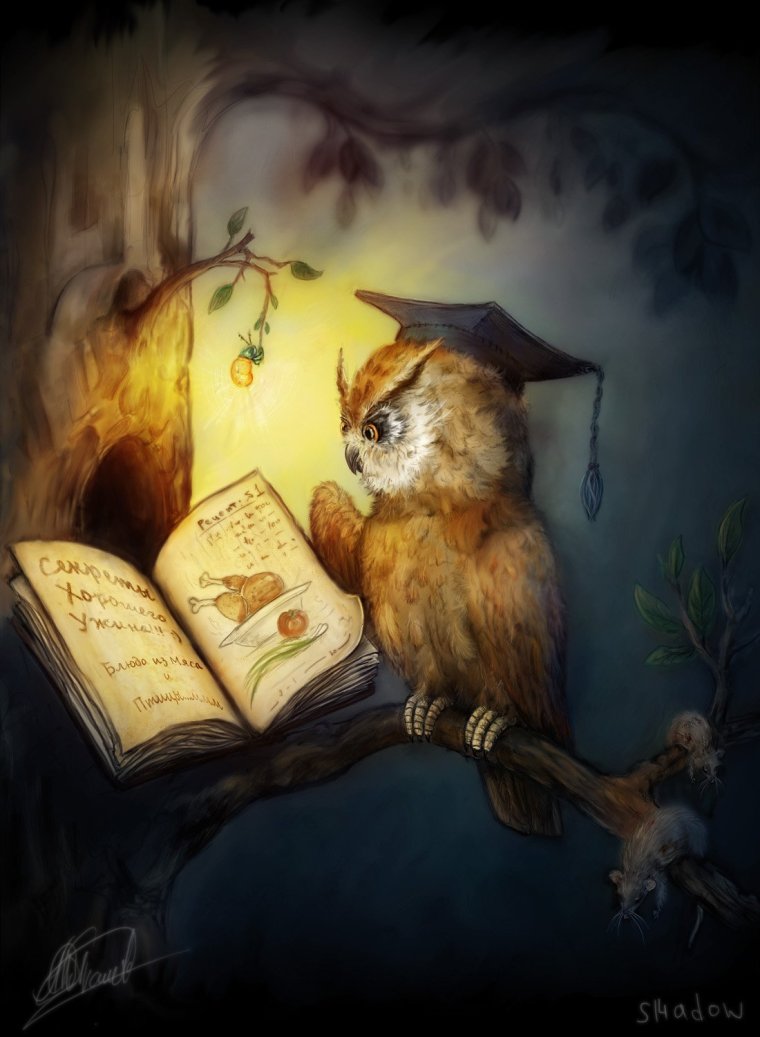 Сова с книгой