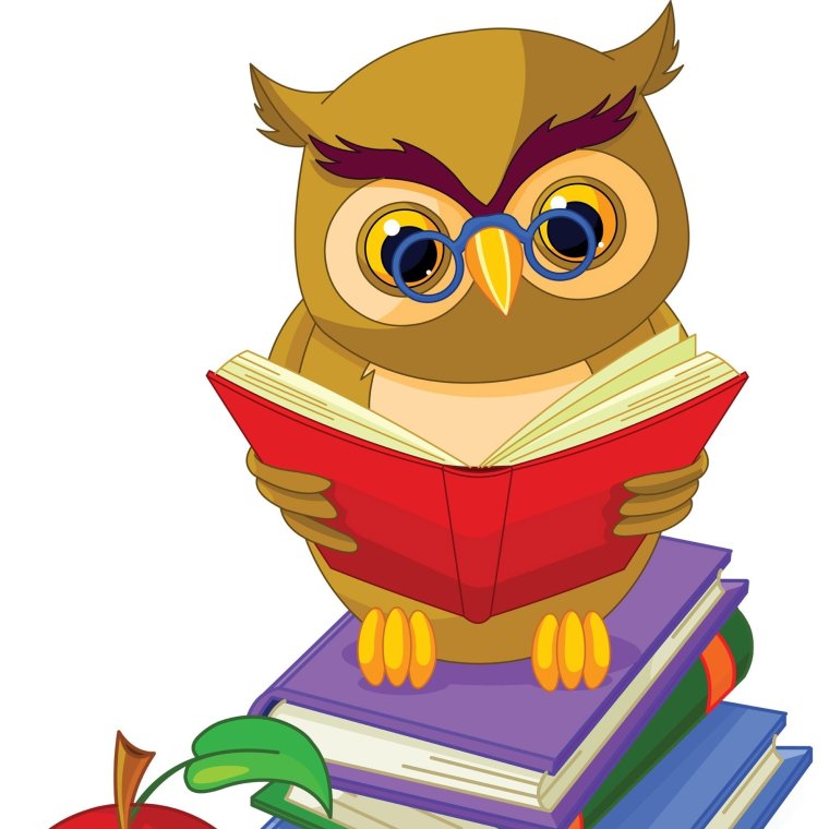 Сова с книгой