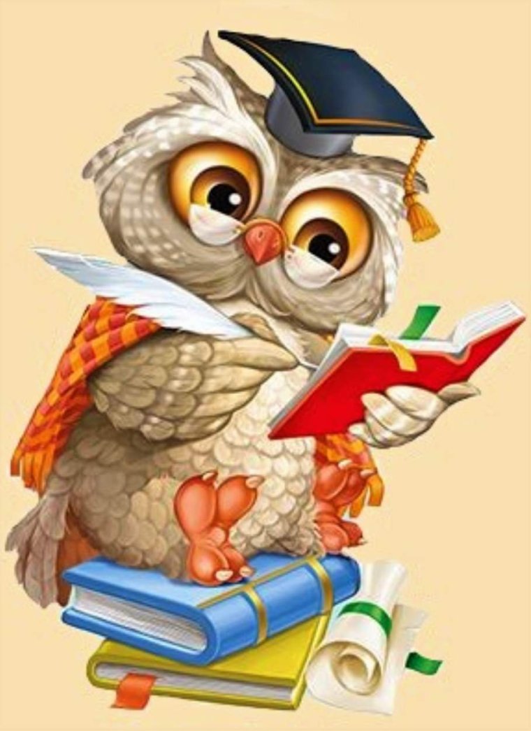 Сова 1 сентября