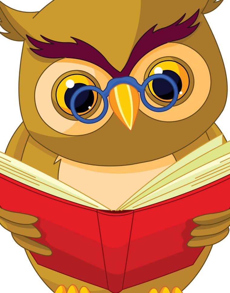 Сова в очках и с книгой