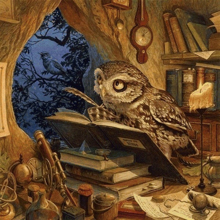 Аржевитин Совы