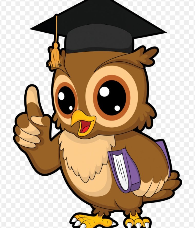 Умная Сова без фона