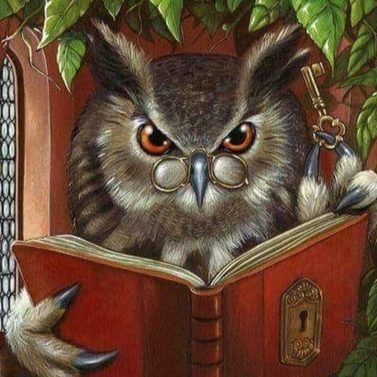 Совенок с книжкой