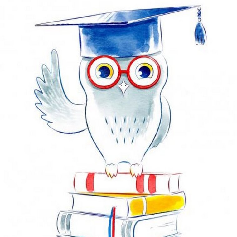 Сова с книгой