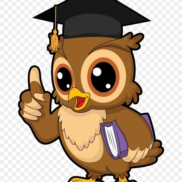 Мудрая Сова