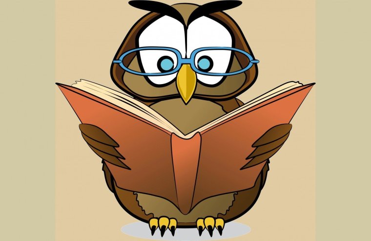 Мудрая Сова