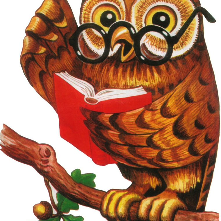 Сова с колокольчиком картинки