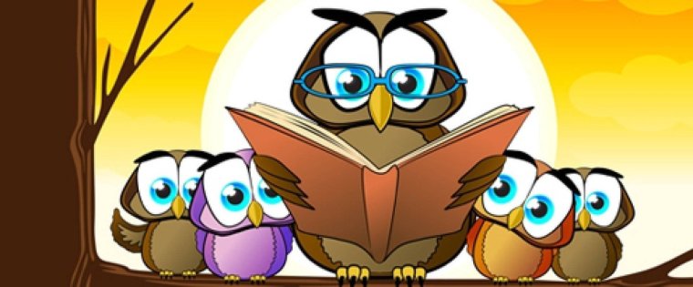 Сова с книгой