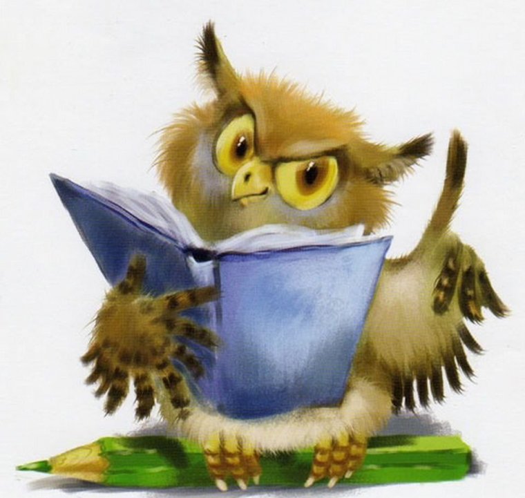 Сова мудрая смешная