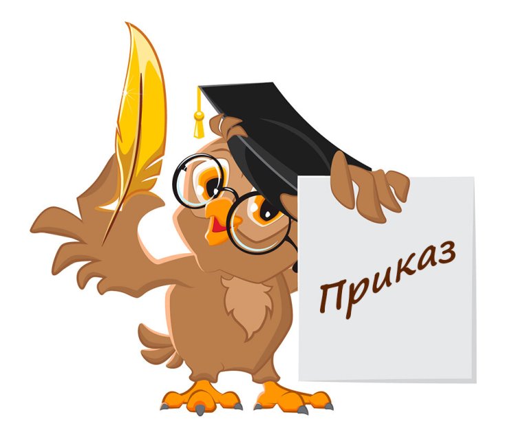 Ученая Сова на белом фоне