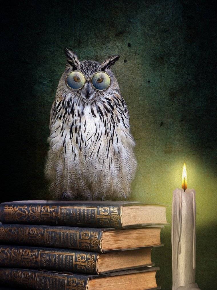 Сова на стопке книг