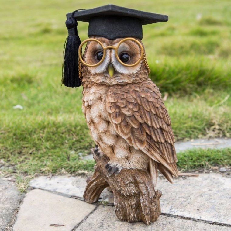 Мудрая Сова