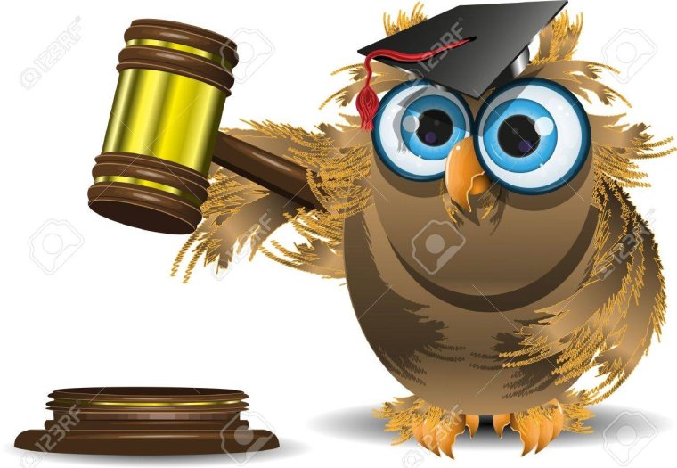 Умная Сова юрист