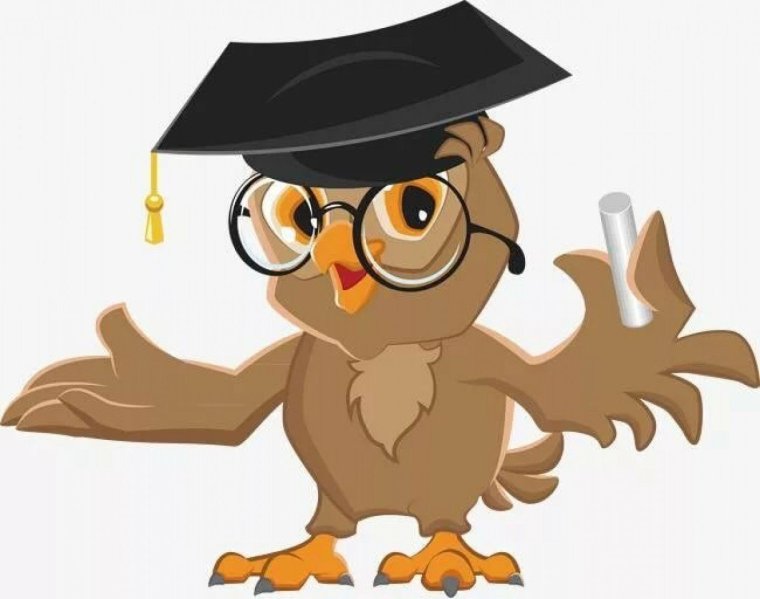 Мудрая Сова