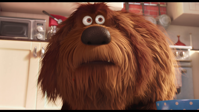 Собака Дюк Тайная жизнь домашних животных