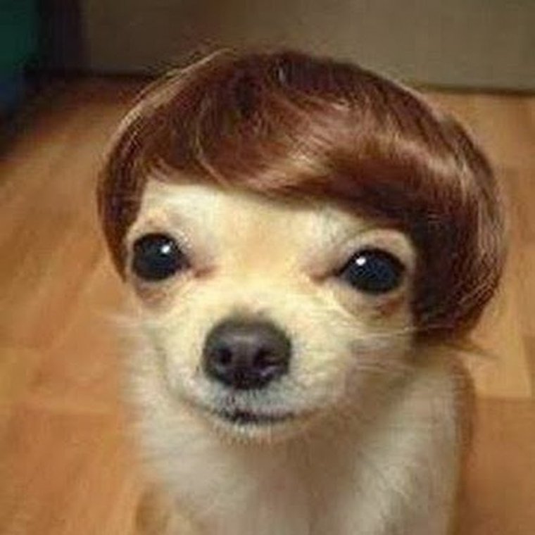 Мария Сердюцкая