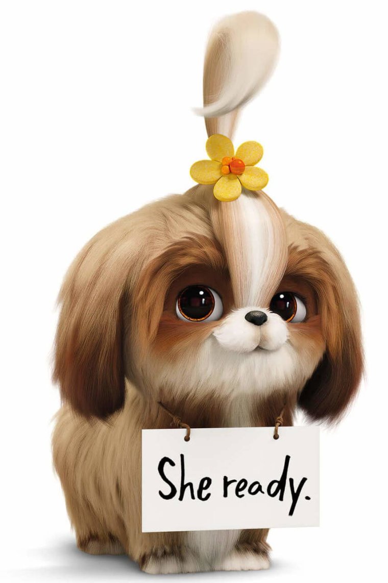 Дейзи Тайная жизнь домашних животных