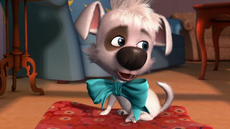 Собака с ресницами