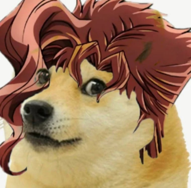 Собака Джо Джо ава