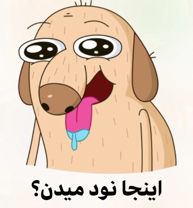 Смешные собаки в парике