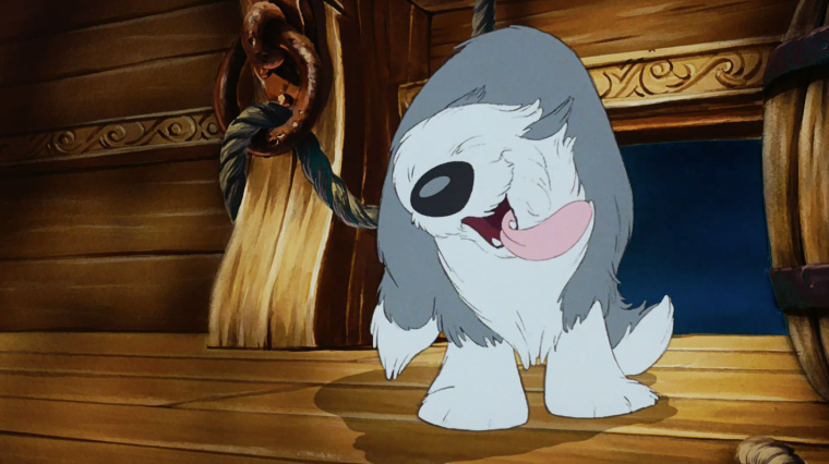 Корейская стрижка ши-тцу