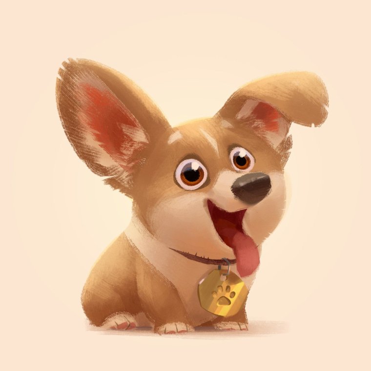 Йоркширский терьер носик