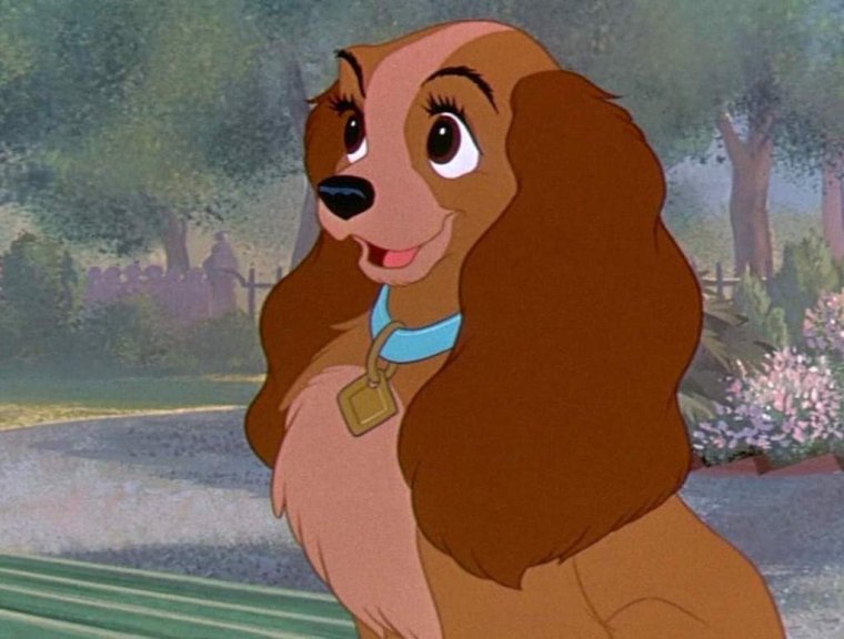 Собака в кудрявом парике