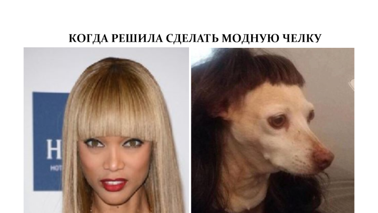 Твити и Сильвестр Твитти монстр