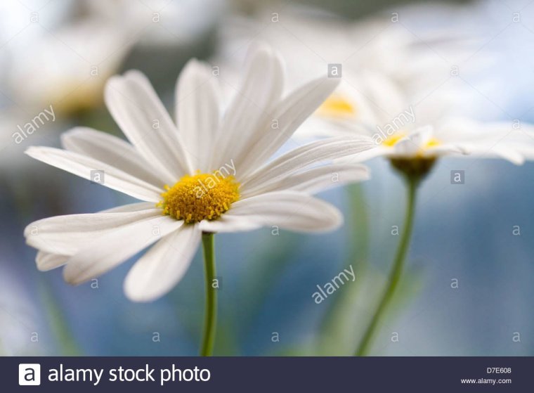 Доброго дня храни вас Бог