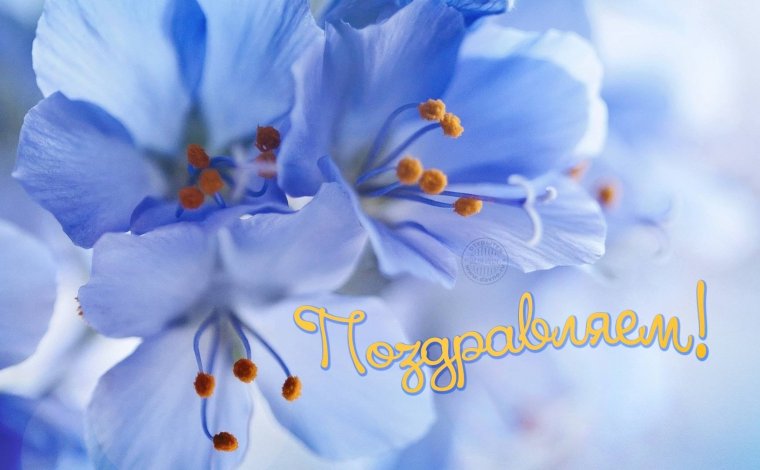 Поздравить многая лета Благая