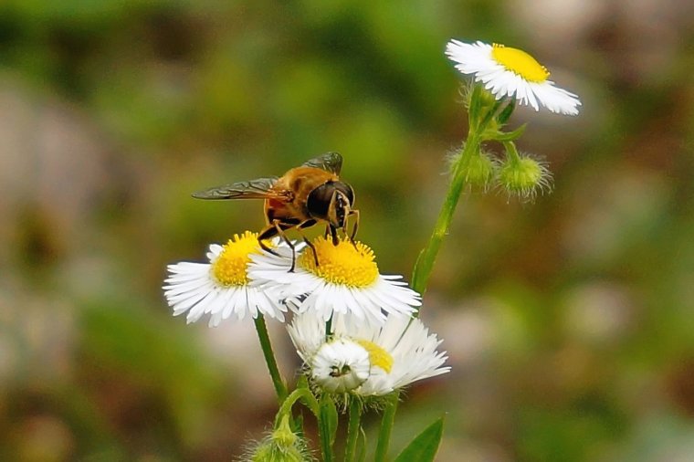 Поздравление батюшке с днем рождения