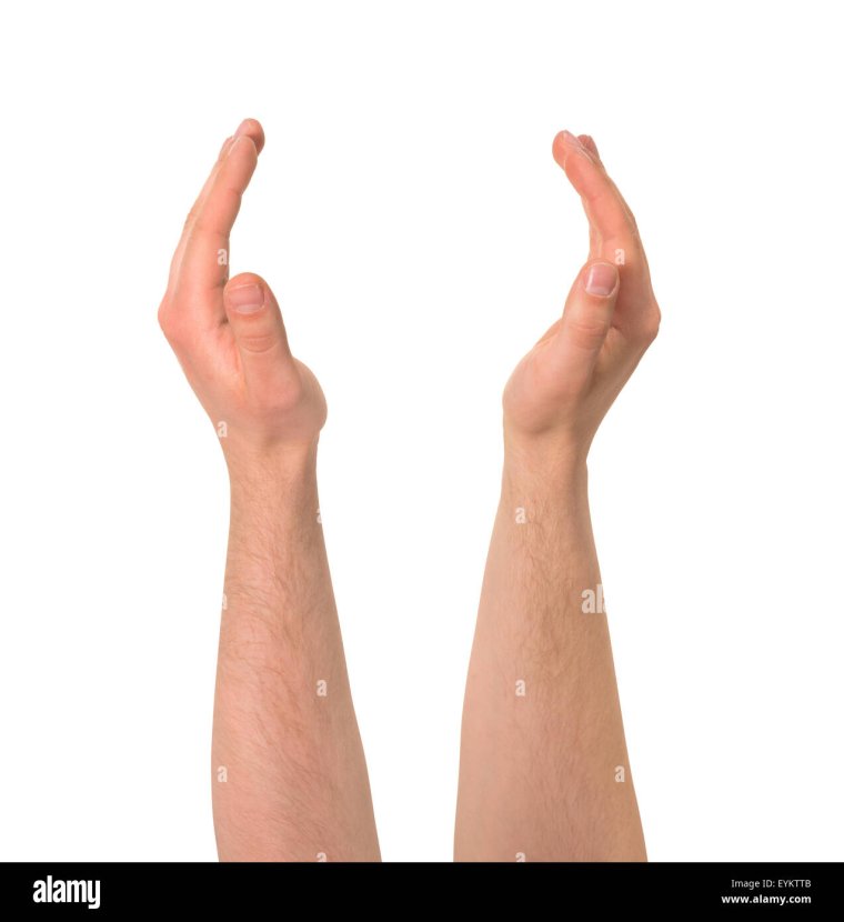 Жесты на белом фоне