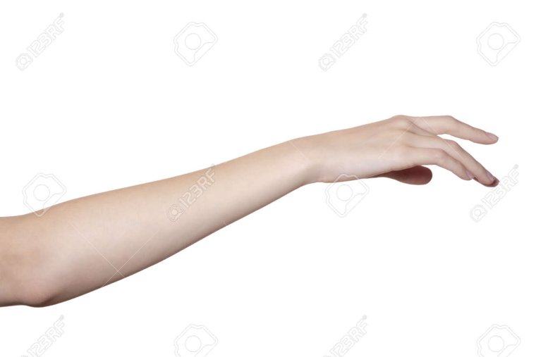 Рука от локтя до кисти
