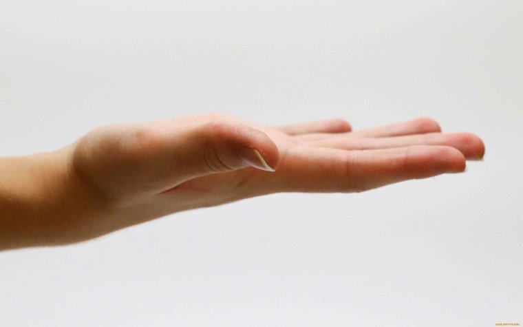 Горсть ладони