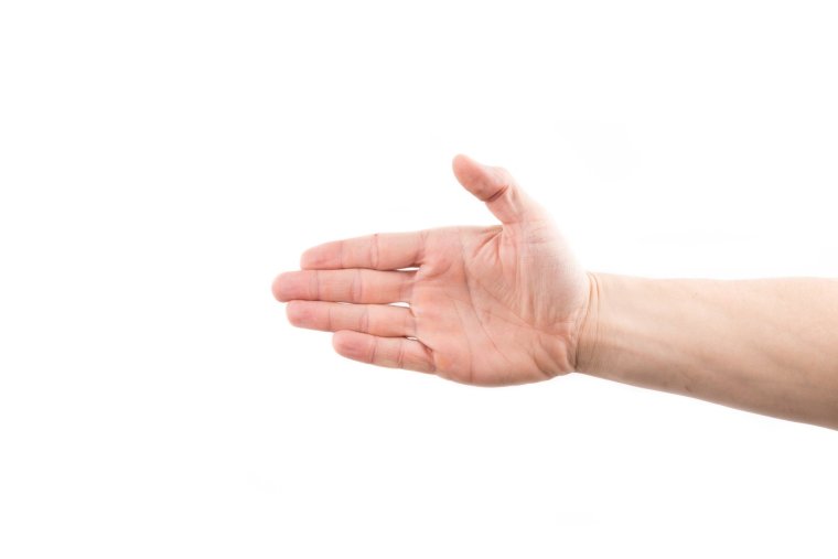 Протянутая ладонь вектор